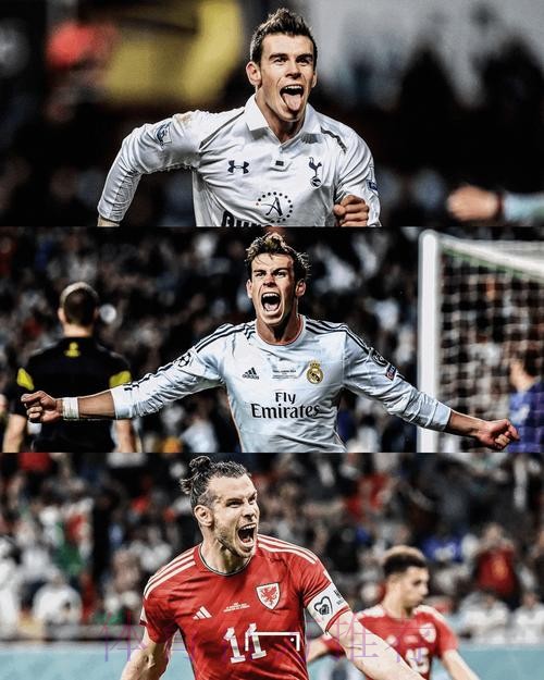 威尔士主帅:为贝尔被称寄生虫而震惊 威尔士主帅:为贝尔被称寄生虫而震惊