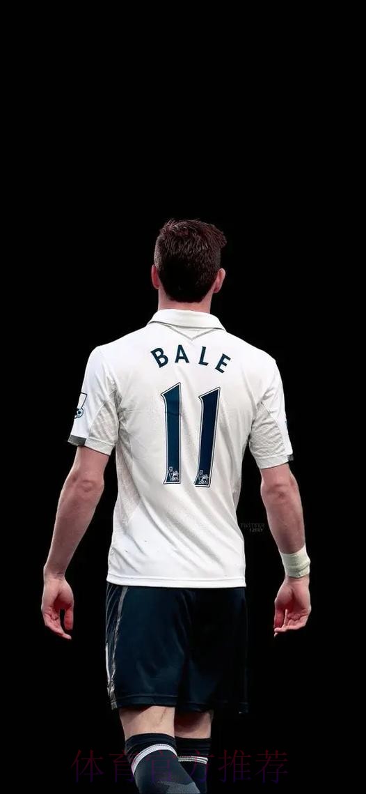 威尔士主帅:为贝尔被称寄生虫而震惊 威尔士主帅:为贝尔被称寄生虫而震惊